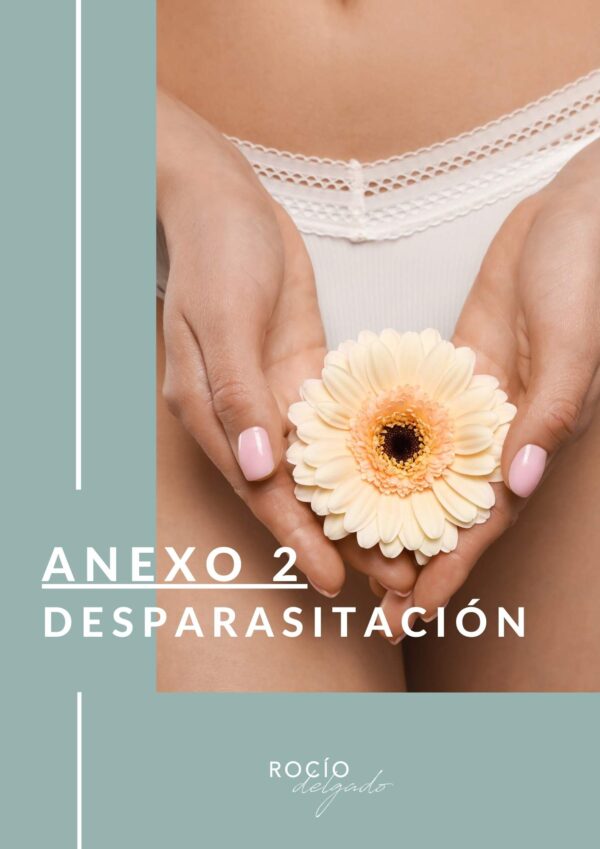 Acompañamiento Grupal Detox - Imagen 4