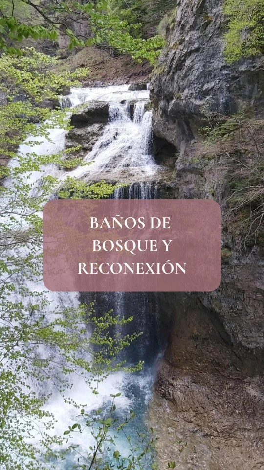 Es tan necesario el contacto con la naturaleza, que de ello depende nuestra salud.❤

Calma, aire limpio, agua pura de las montañas, fauna y flora, ríos, bosques de hayas, cañones, valles, colinas,...
🏔⛰🌻🌸🦊🦝🐻🦅🐐🦌🐎🦉🦆🦋🌲🌲🌺🌷

1 de cada 3 bocanadas de aire que respiramos proviene de los bosques. El resto del mar.🌊
Nos proveen de oxígeno y alimento.

Es imperativo cuidarlos, tanto como nos cuidan a nosotros.

Porque son PURA VIDA ❤❤❤

Recap de momentos en Ordesa, pirineo aragonés, Huesca. Maravilla donde las haya,...caminos interminables y belleza allá donde mires.
Deseando volver...💗💫💗

#naturetherapy #ordesa #monteperdido #bañosdebosque #autoterapia #bosque #pirineoaragonés #huesca #puravida